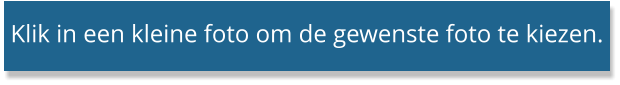 Klik in een kleine foto om de gewenste foto te kiezen.