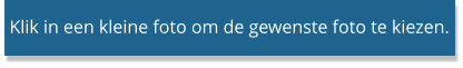 Klik in een kleine foto om de gewenste foto te kiezen.