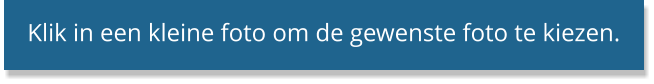 Klik in een kleine foto om de gewenste foto te kiezen.