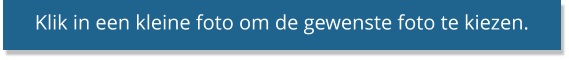 Klik in een kleine foto om de gewenste foto te kiezen.