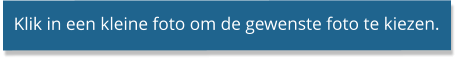 Klik in een kleine foto om de gewenste foto te kiezen.