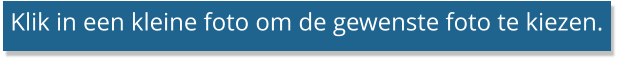 Klik in een kleine foto om de gewenste foto te kiezen.