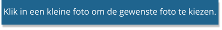 Klik in een kleine foto om de gewenste foto te kiezen.