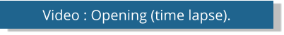 Video : Opening (time lapse).