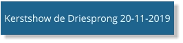 Kerstshow de Driesprong 20-11-2019