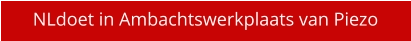 NLdoet in Ambachtswerkplaats van Piezo