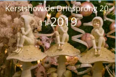 Kerstshow de Driesprong 20-11-2019