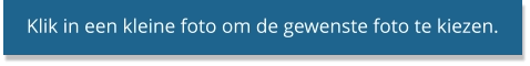 Klik in een kleine foto om de gewenste foto te kiezen.