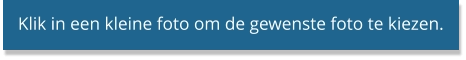 Klik in een kleine foto om de gewenste foto te kiezen.