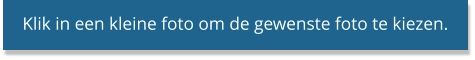 Klik in een kleine foto om de gewenste foto te kiezen.
