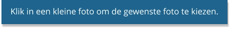 Klik in een kleine foto om de gewenste foto te kiezen.