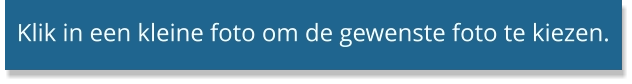 Klik in een kleine foto om de gewenste foto te kiezen.