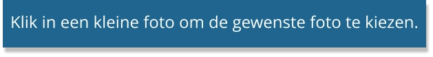 Klik in een kleine foto om de gewenste foto te kiezen.