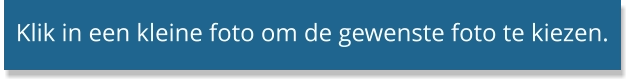 Klik in een kleine foto om de gewenste foto te kiezen.