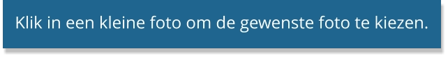 Klik in een kleine foto om de gewenste foto te kiezen.