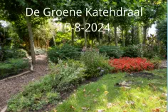 De Groene Katehdraal15-8-2024