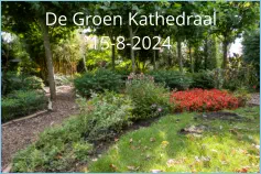 De Groen Kathedraal15-8-2024