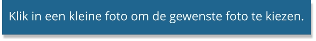 Klik in een kleine foto om de gewenste foto te kiezen.