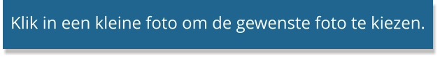 Klik in een kleine foto om de gewenste foto te kiezen.