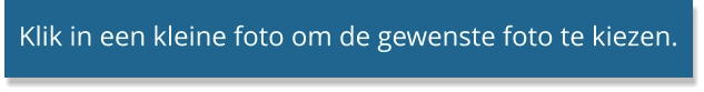 Klik in een kleine foto om de gewenste foto te kiezen.