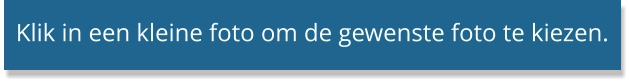 Klik in een kleine foto om de gewenste foto te kiezen.