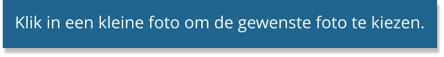 Klik in een kleine foto om de gewenste foto te kiezen.